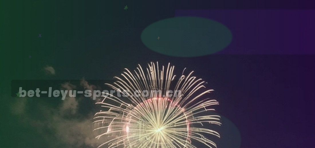 两块不同宽度的界面轮廓并置，抽象几何风格